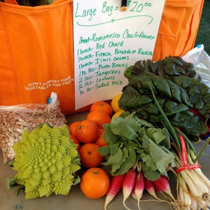 Anita's AREA Farms Arizona