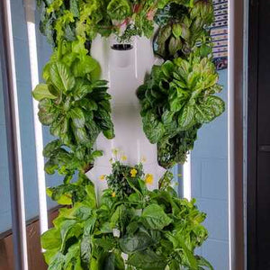 Little Shop of Hydros