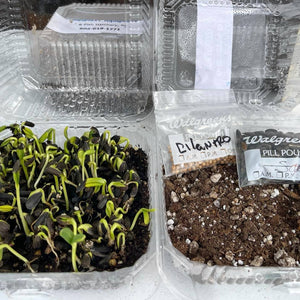 Southwest Aquaponics Farm