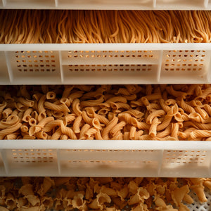Sonoran Pasta Co.