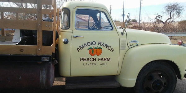 Amadio Ranch