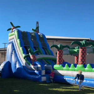 Just Bouncing Fun