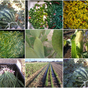 TJ Farms Fresh and Local
