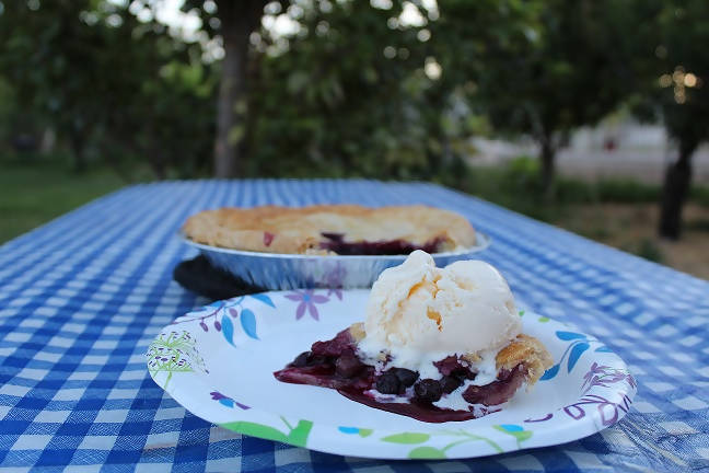 Blueberry Pie (Gluten Free)