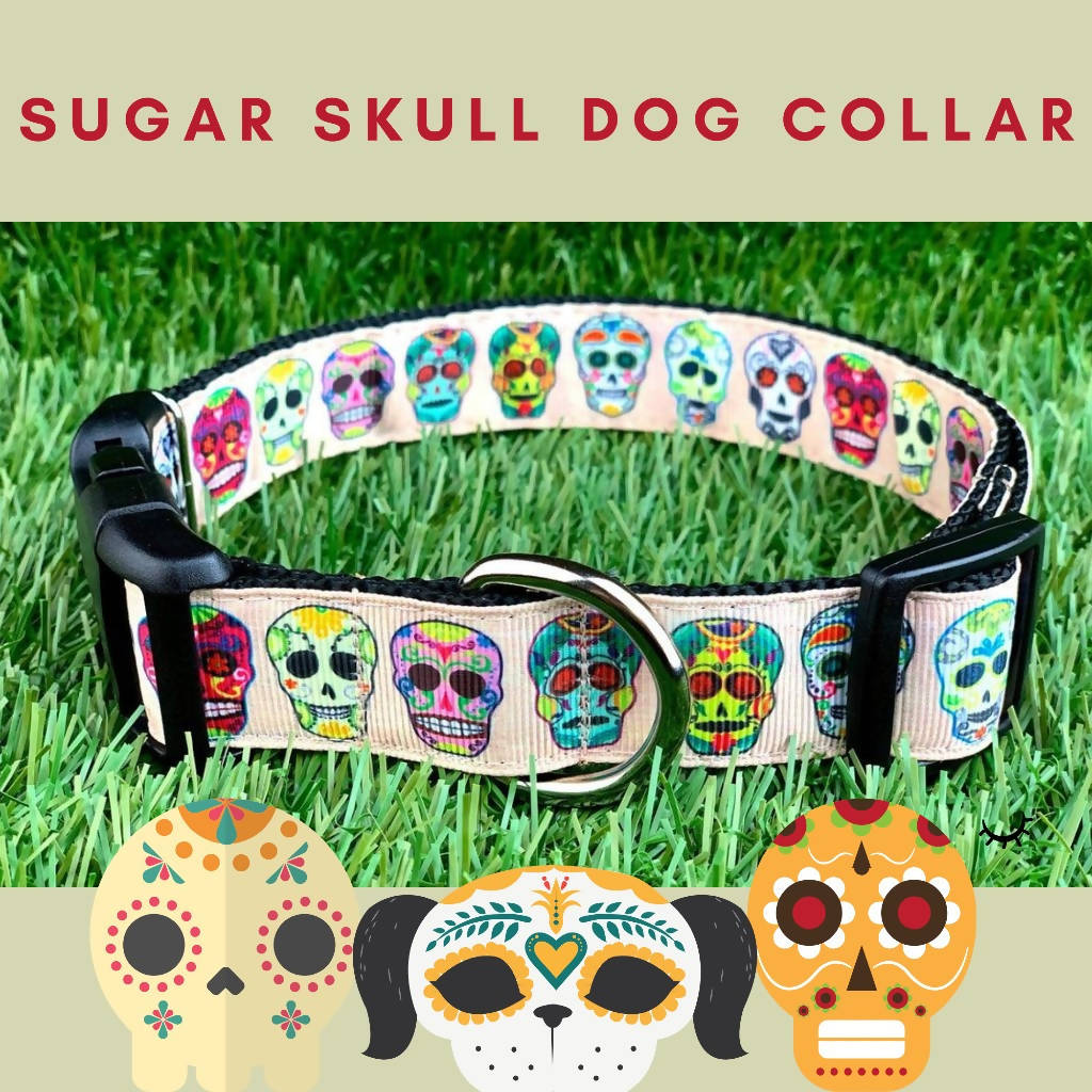 Tan Sugar Skull Dog Collar