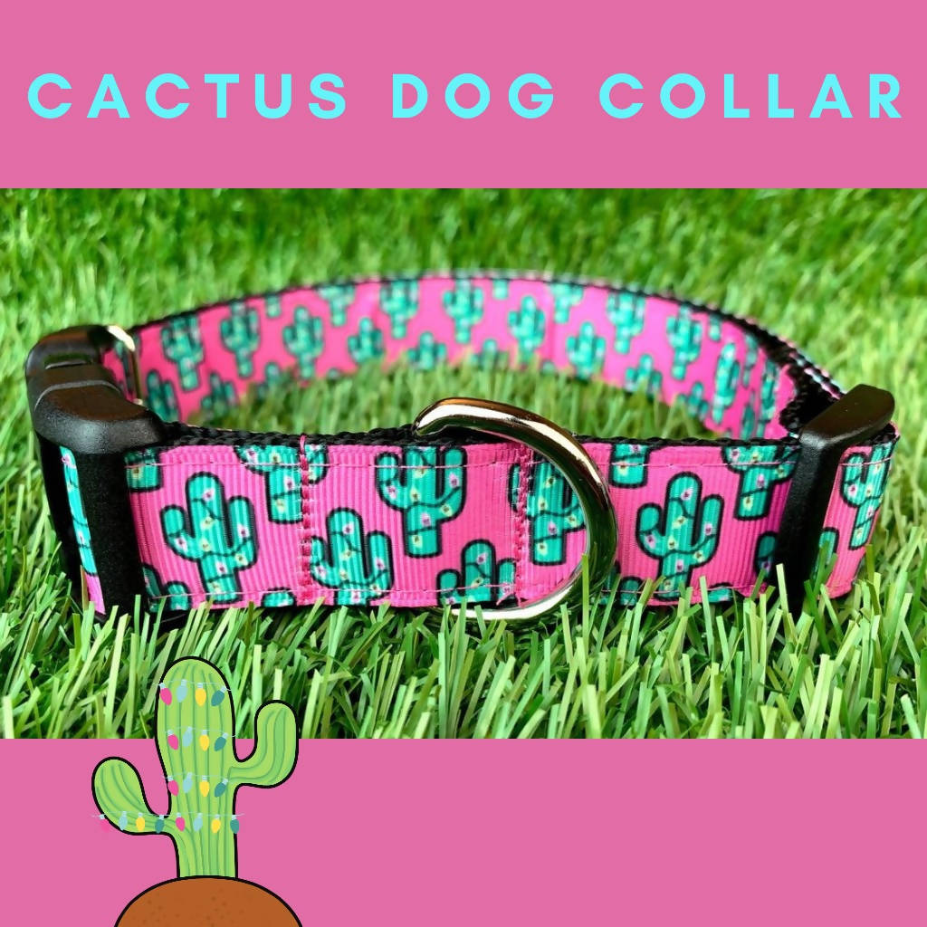 Pink Cactus Dog Collar