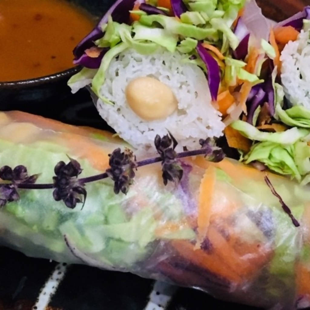 Thai Vegan Rainbow Salad Summer Rolls