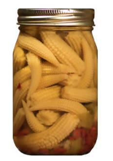 Hatch Pepper Pickled Baby Corn (16 oz)