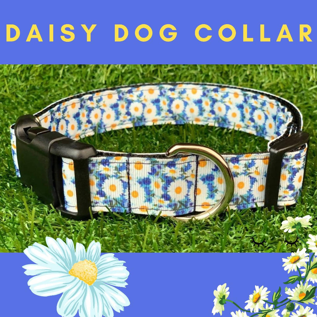 Daisy Dog Collar