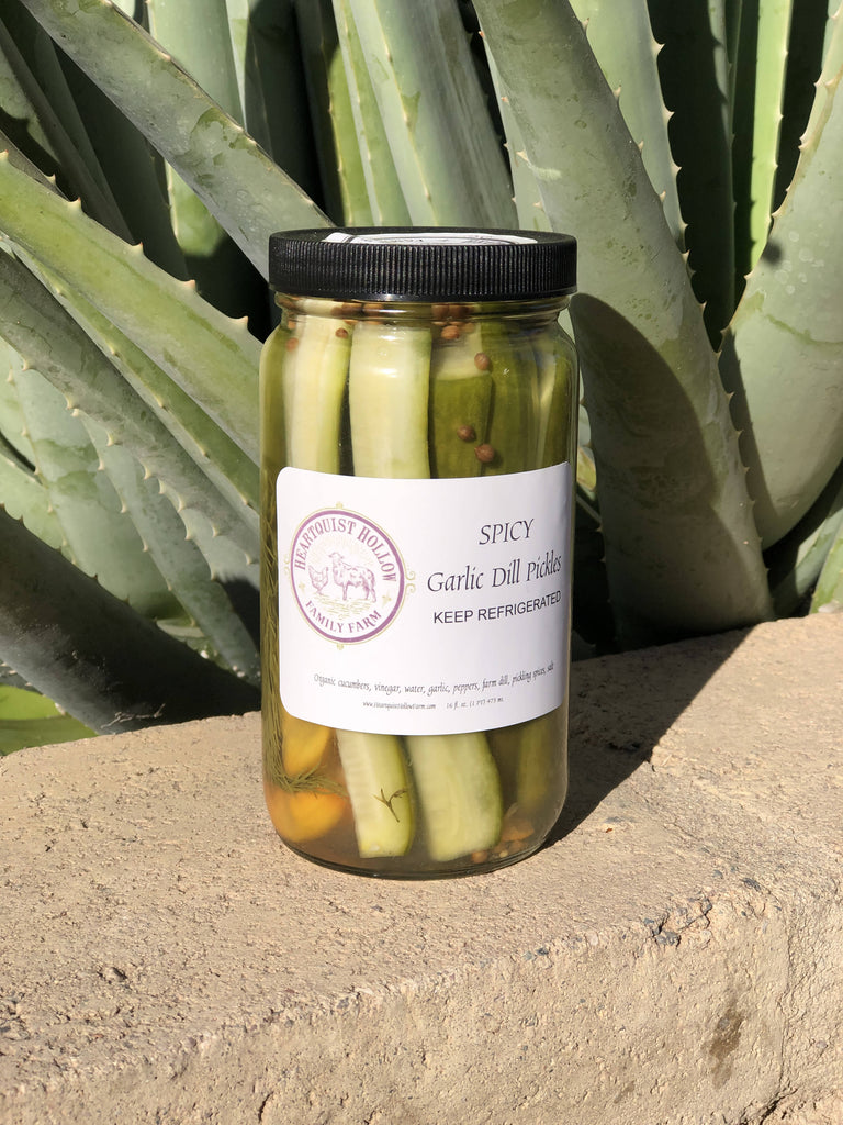 Spicy Garlic Dill Refrigerator Pickles (16 oz)
