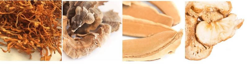 Dried Mix of Medicinal Mushrooms (2 oz)