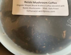 Reishi Mushroom Mayan Blend Coffee (3 oz)