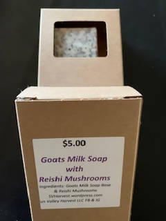 Reishi Mushroom in Goats Milk Soap (4 oz)