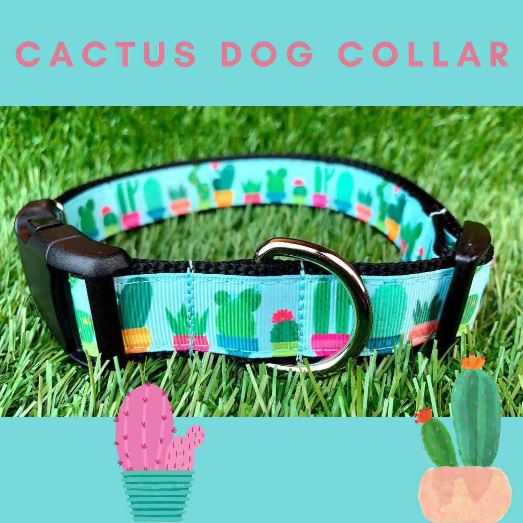 Teal Cactus Dog Collar