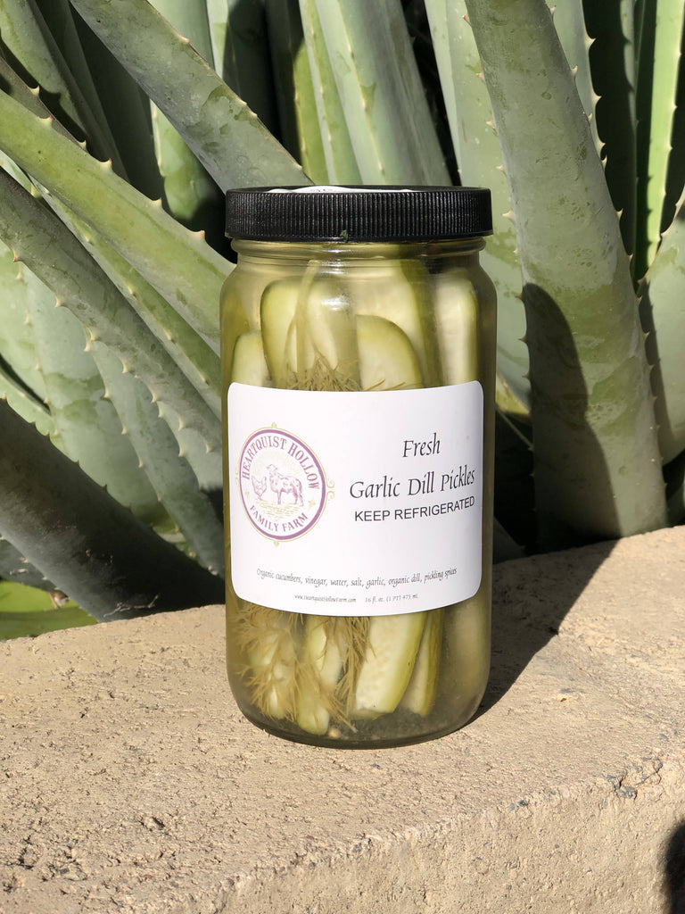 Garlic Dill Refrigerator Pickles (16 oz)