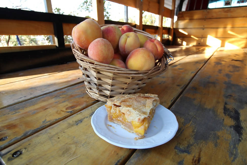 Peach Pie (Gluten Free)
